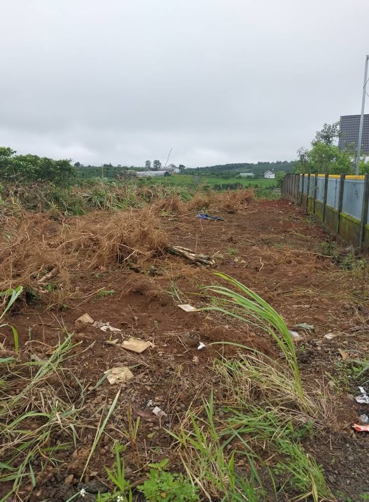 Đất nền đẹp tại Bảo Lộc Lâm Đồng 1000m² giá 1.6 tỷ - Cơ hội đầu tư tuyệt vời!