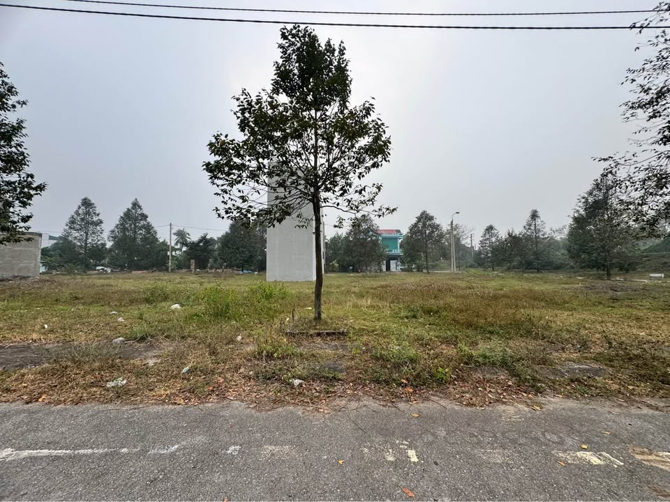 Lô đất đẹp tại Quảng Hưng, Thanh Hóa 81m² giá 1.xx tỷ - Vị trí vàng tăng giá mạnh!