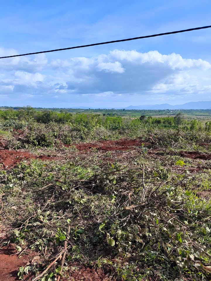 Đất đỏ Bazan Chư Pưh 2520m² giá 880 triệu - Cơ hội đầu tư sinh lời!