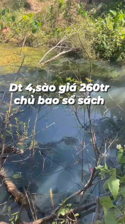 Đất nông nghiệp Đê Ar 1440m² giá 260 triệu - Đầu tư sinh lời ngay!