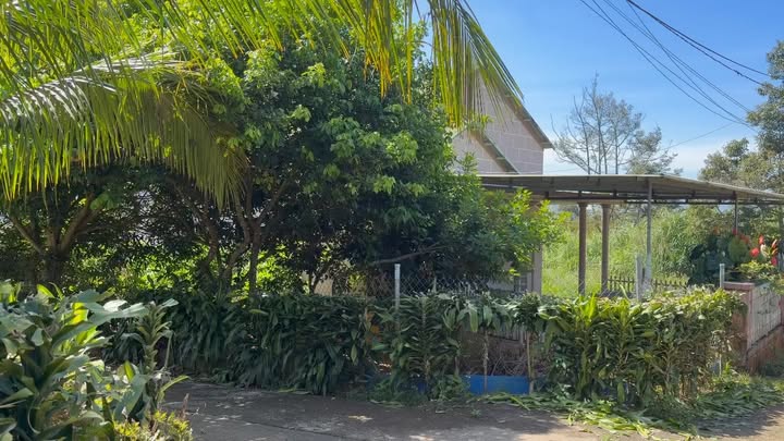 Nhà đẹp hẻm ô tô đường Lam Sơn, Bảo Lộc 198m² giá 2.8 tỷ - Chính chủ bán gấp!