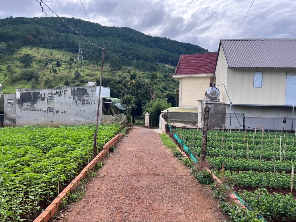 Đất nền Hiệp An - Đức Trọng 135m² giá chỉ 750 triệu - Đầu tư sinh lời ngay!