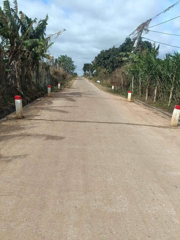 Đất nền Hòa Khánh Buôn Ma Thuột 3600m² giá 780 triệu - Sổ đỏ chính chủ