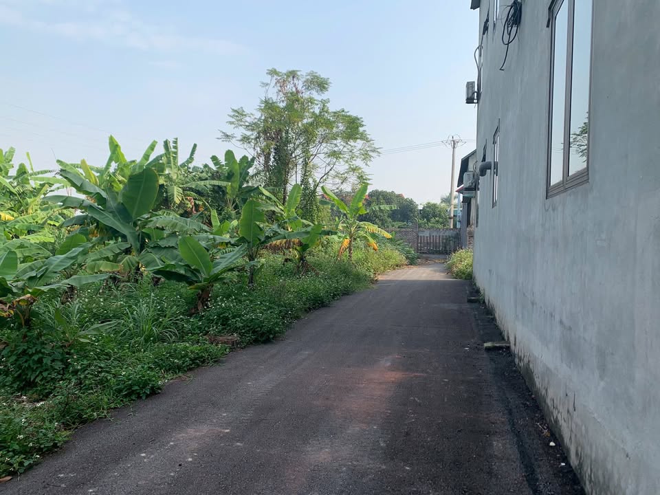 Đất nền Hương Sơn, Bình Xuyên 112m² giá 1.1 tỷ - Đầu tư sinh lời ngay!