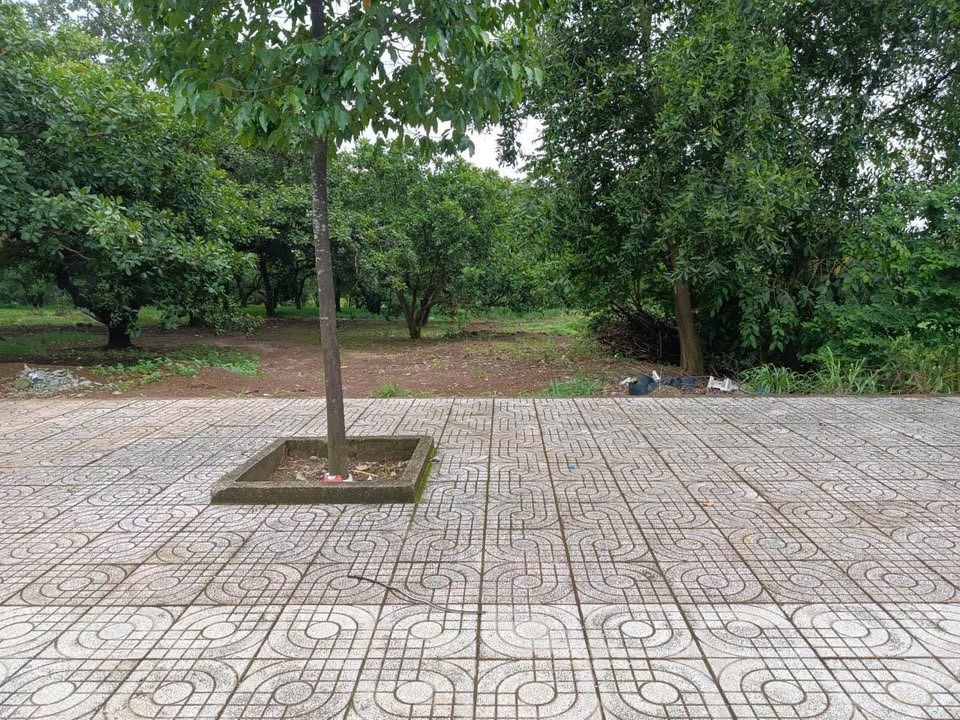 Đất nền mặt tiền Đường Trường Chinh, Đồng Xoài 920m² - Cơ hội đầu tư tuyệt vời!