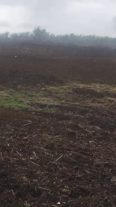 Bán đất rẫy 2.5ha tại Làng Vẽ, Gia Lai - Giá chỉ 570 triệu!