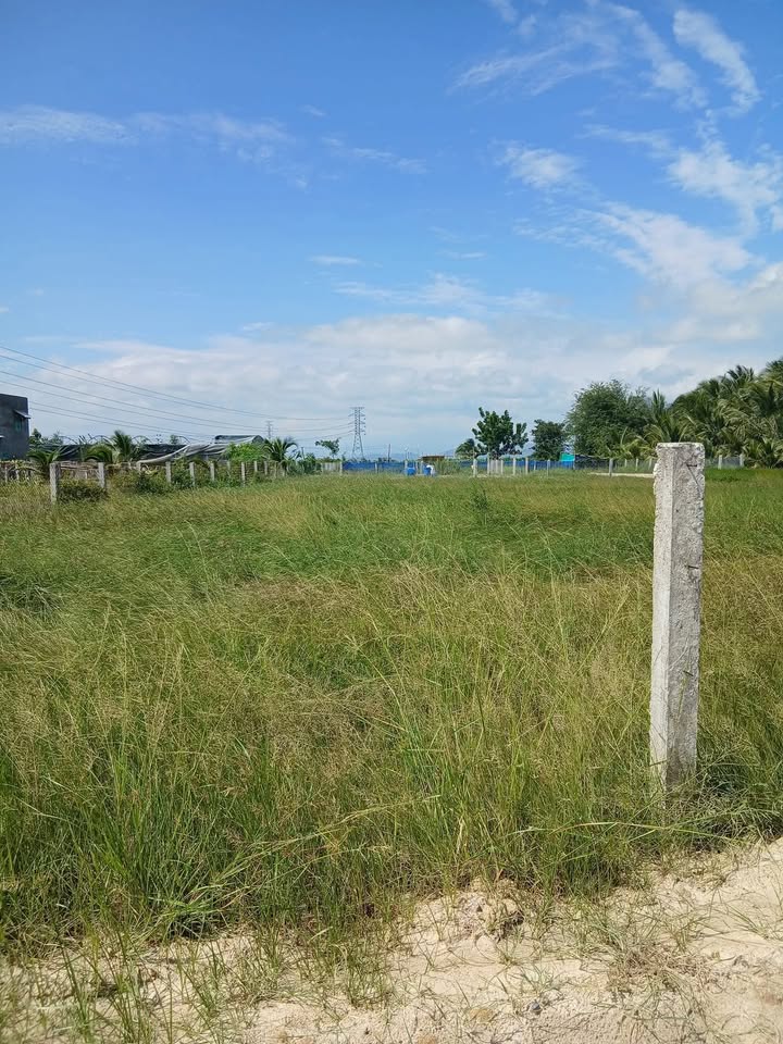 Đất nông nghiệp 1000m² tại Thôn Tri Thủy - Giá chỉ 400 triệu - Tiềm năng phát triển cao!