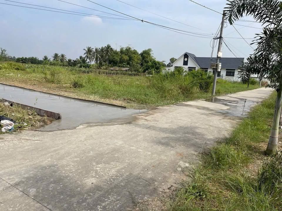 Đất lúa 1000m² tại Phú Ngãi Trị, Châu Thành giá 650 triệu - Cơ hội đầu tư hấp dẫn!