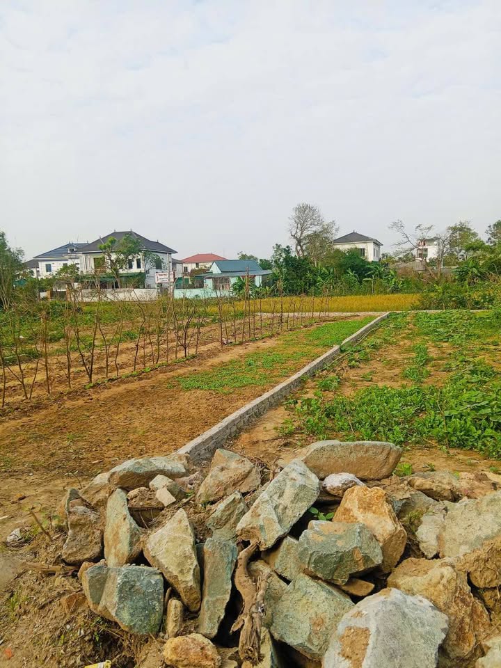 Đất nền chính chủ tại Nghi Thịnh 175m² giá 1.5 tỷ - Đầu tư tiềm năng!