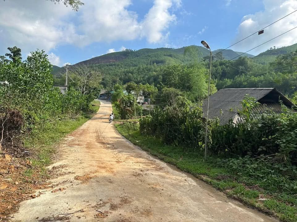 Đất nền Lạc Sỹ Yên Thủy 794m² giá 500 triệu - Sổ đỏ chính chủ, bám suối