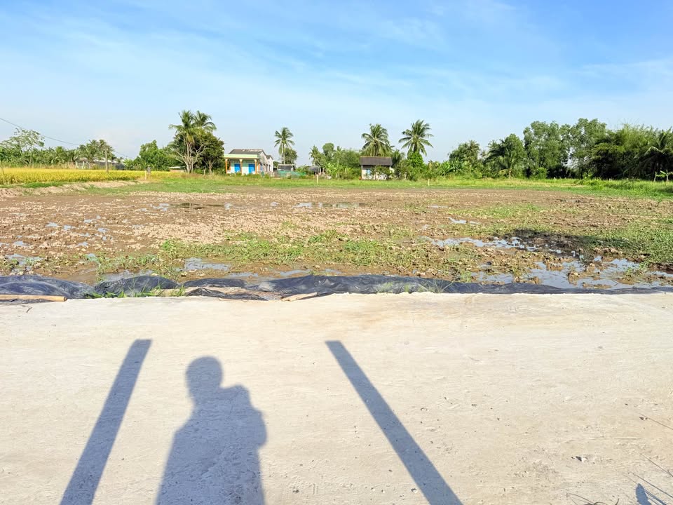 Đất nền Đức Tân Tân Trụ 3000m² giá 650 triệu - Đường ô tô vào tận nơi!