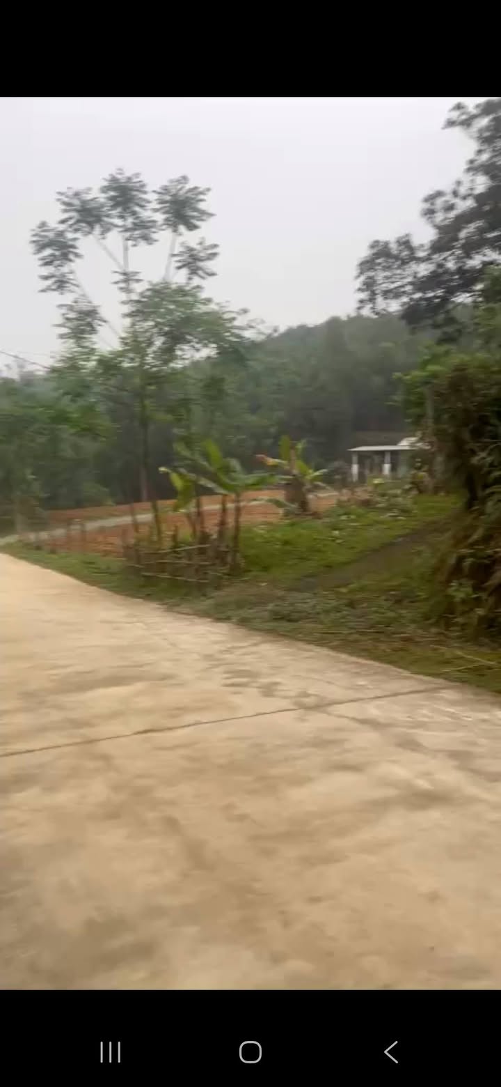 Đất nền Ninh Dân, Thanh Ba 165m² giá chỉ 400 triệu - Cơ hội đầu tư tuyệt vời!