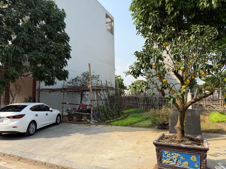 Lô đất 70m² đường Đồng Lễ, phường Đông Hải - Vị trí kinh doanh đắc địa