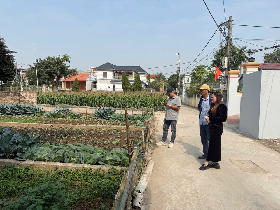 Đất nền Tự Nhiên, Thường Tín 55.6m² giá 3 tỷ - Gần chợ, ô tô vào tận nơi!