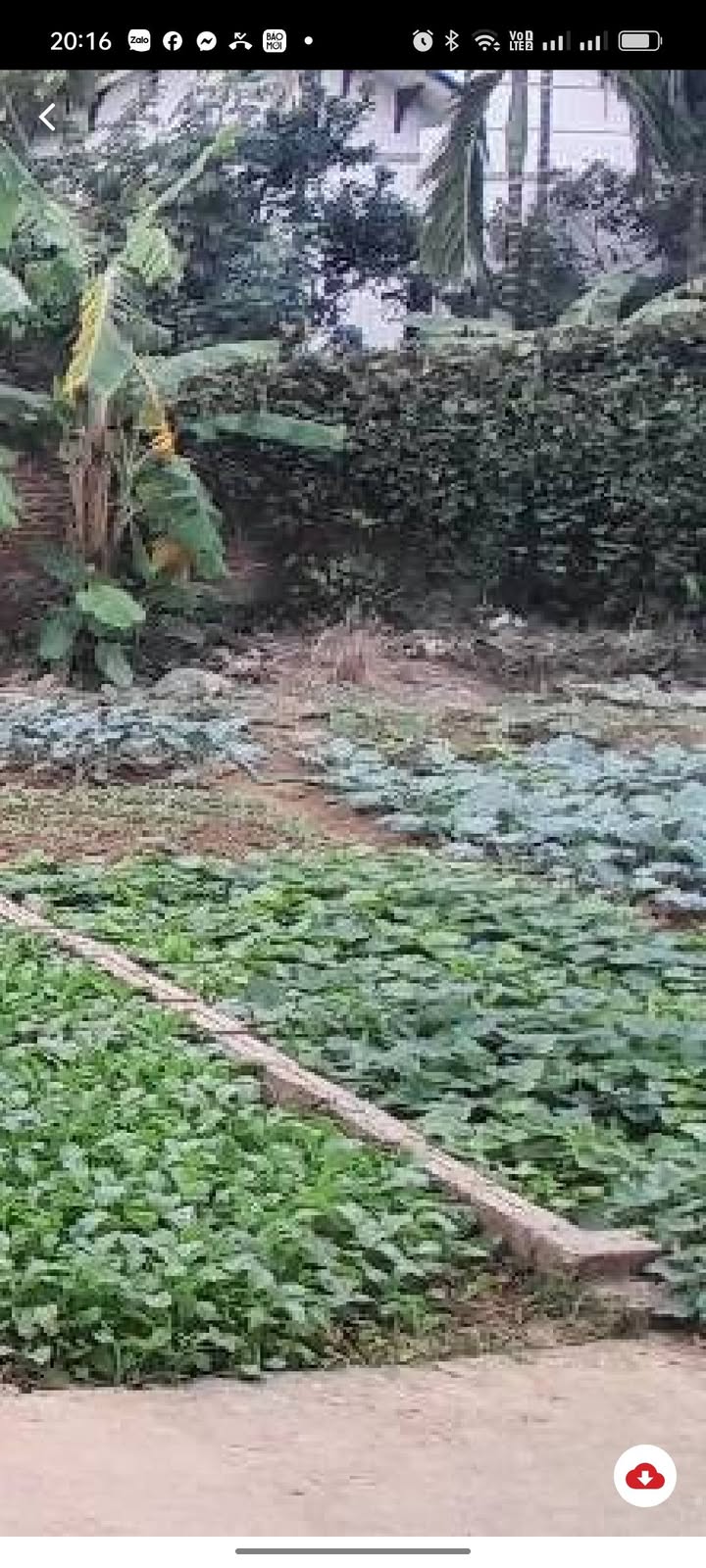 Đất nền Yên Thường, Gia Lâm 111m² giá 2 tỷ - Tiềm năng tăng giá cao!