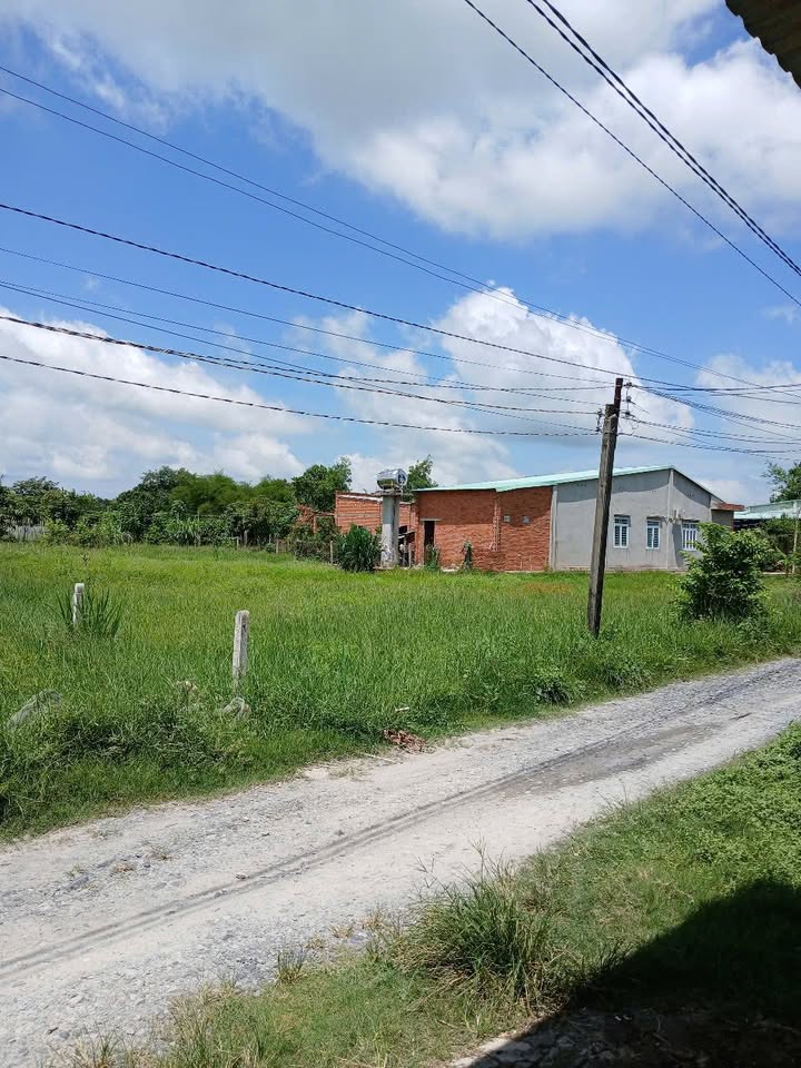 Đất nền 100m² khu phố Trâm Vàng 3, Gò Dầu - Giá chỉ 950 triệu, thuận lợi đầu tư!