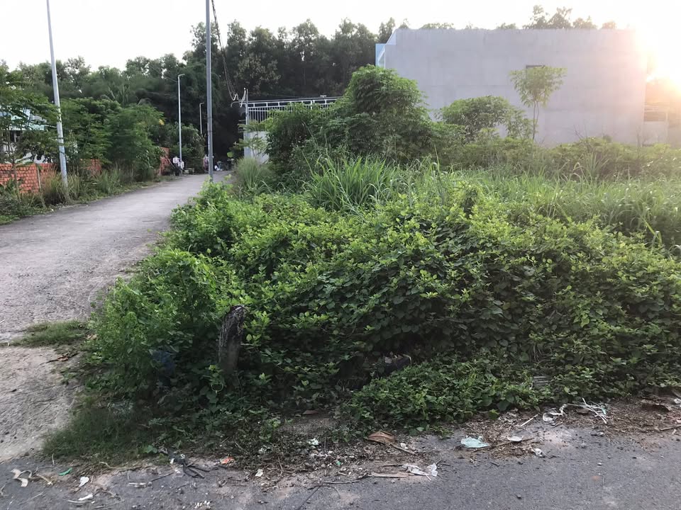 Đất nền 2 mặt tiền xã Tam An Long Đất 3510m² - Cơ hội đầu tư tuyệt vời!