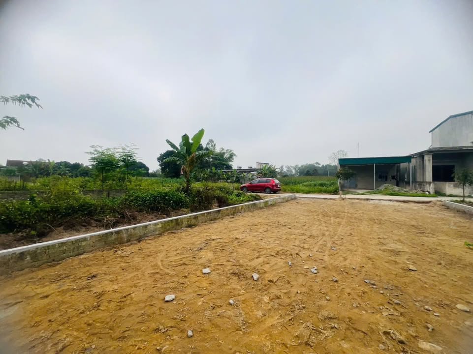 Đất nền Nghi Phong 135m² giá 1.3 tỷ - Khu dân cư thịnh vượng!