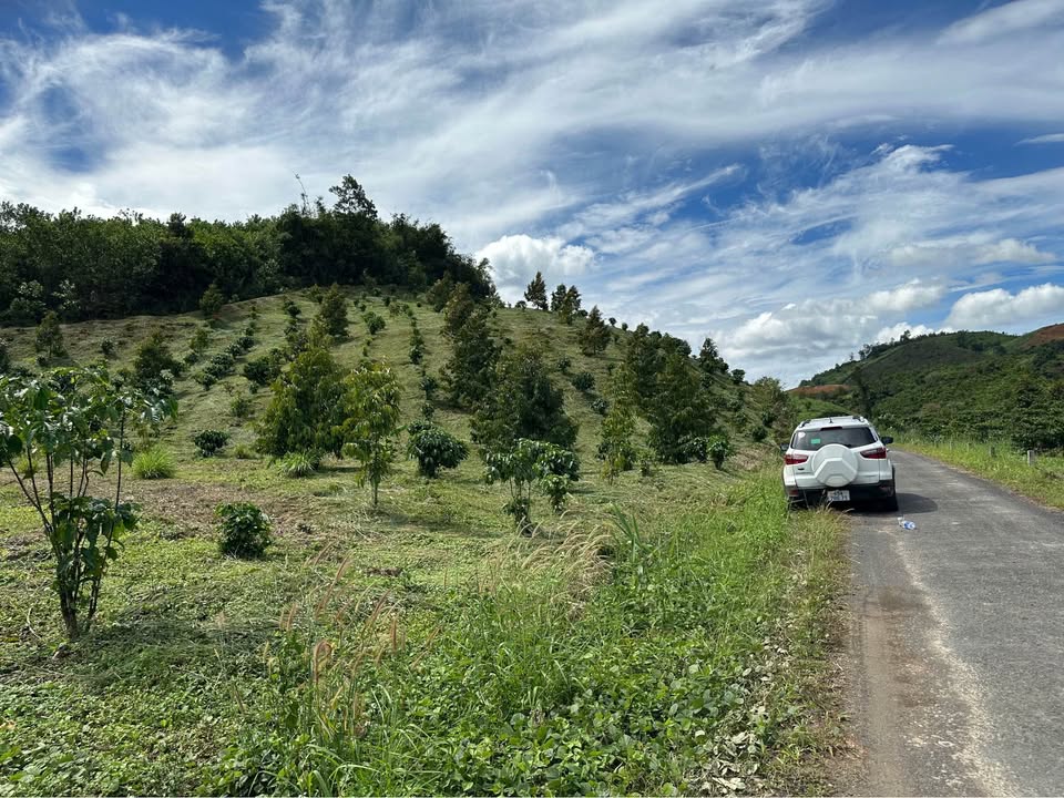 Đất thổ cư 7.700m² tại thôn 4 Lộc Bắc, Bảo Lâm - Giá chỉ 2.772 tỷ, sổ đỏ chính chủ!