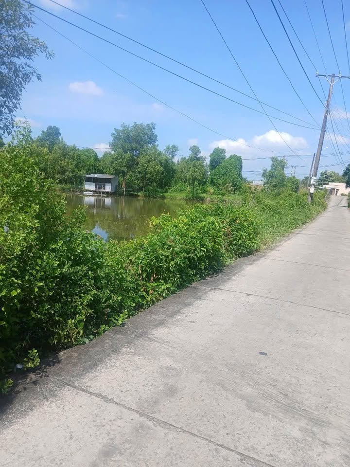 Đất nền đường Hải Thượng Lãn Ông, Cà Mau 1128m² - Giá chỉ 2 tỷ!