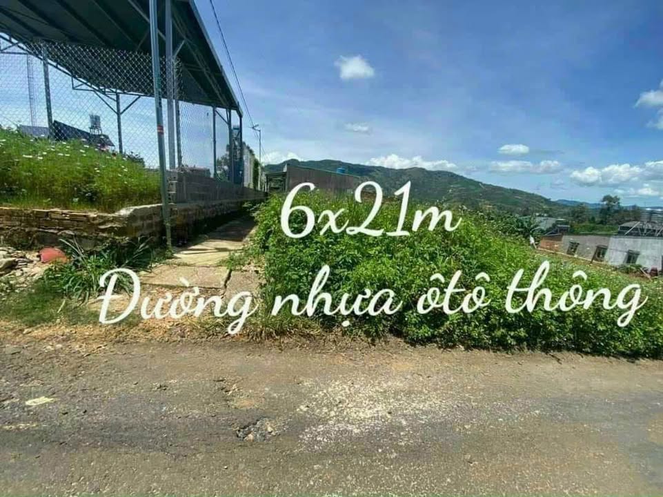 Nhà mặt tiền 115 Lam Sơn Bảo Lộc 126m² giá 1.15 tỷ - Đường nhựa rộng, khu dân cư đông đúc!