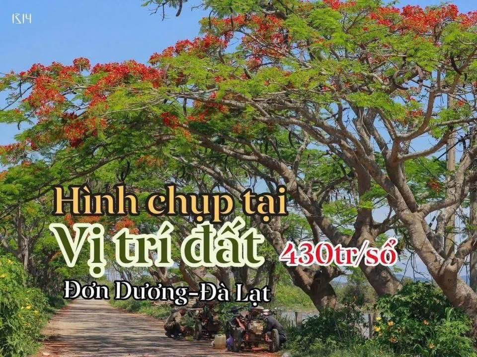 Đất nền Quảng Lập Đơn Dương 145m² giá chỉ 430 triệu - Sổ đỏ thổ cư, xây dựng ngay!