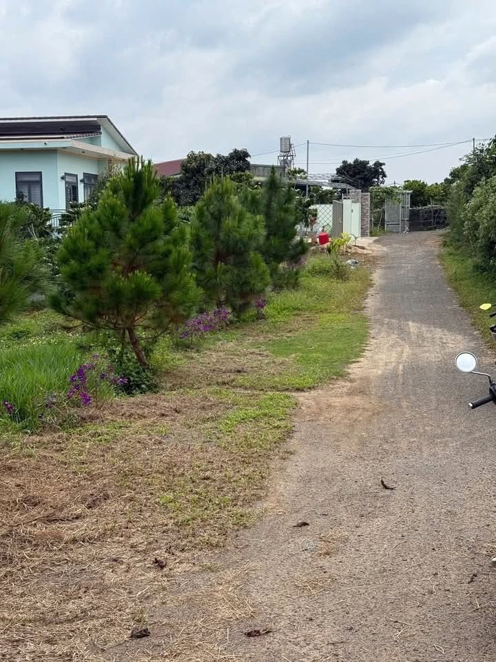 Đất nền thổ cư 550m² tại Lộc Thành, Bảo Lâm - Giá 1 tỷ, thuận tiện kinh doanh!