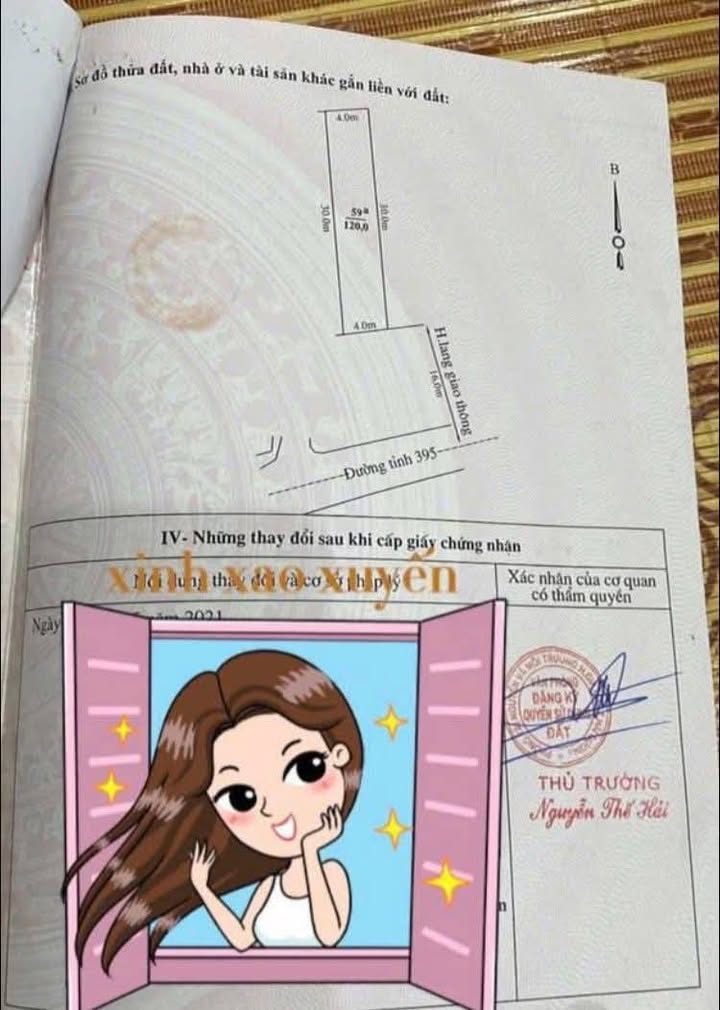 Đất mặt đường 395 xã Gia Lộc 120m² giá 3 tỷ - Kinh doanh sầm uất!