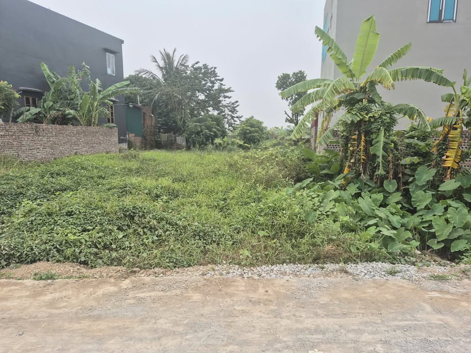 Đất nền 100,2m² tại Cẩm Xá – Mỹ Hào chỉ 2 tỷ - Mặt tiền rộng, ô tô vào tận nơi!