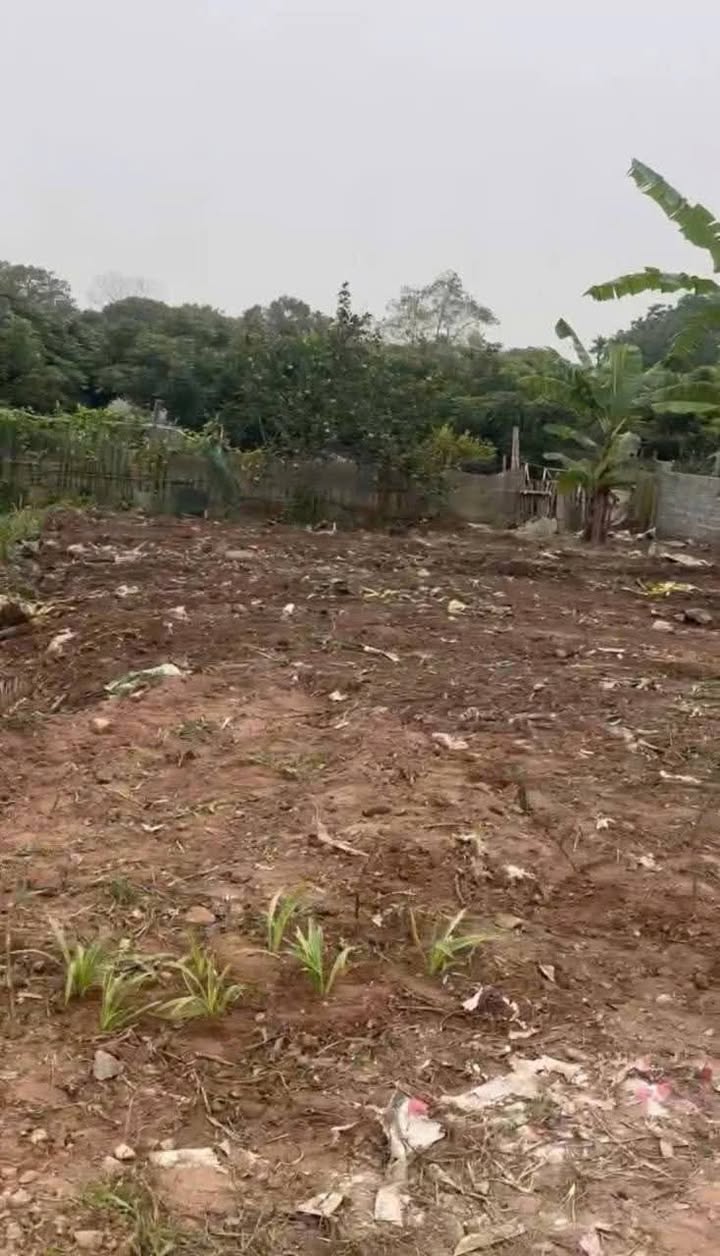 Lô đất đẹp Liên Phương, Hưng Yên 68m² giá 2 tỷ - Sẵn sàng cho đầu tư!