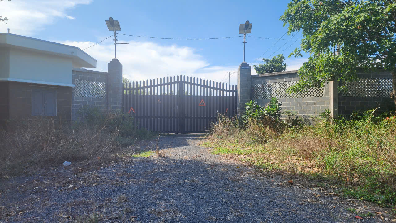 Đất mặt tiền An Ngãi - Tam Phước 2142m² giá 12 tỷ - Đầu tư sinh lời ngay!