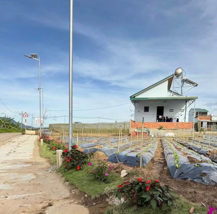 Đất nền Thạnh Mỹ Đơn Dương 292m² giá 620 triệu - Cơ hội đầu tư lý tưởng!