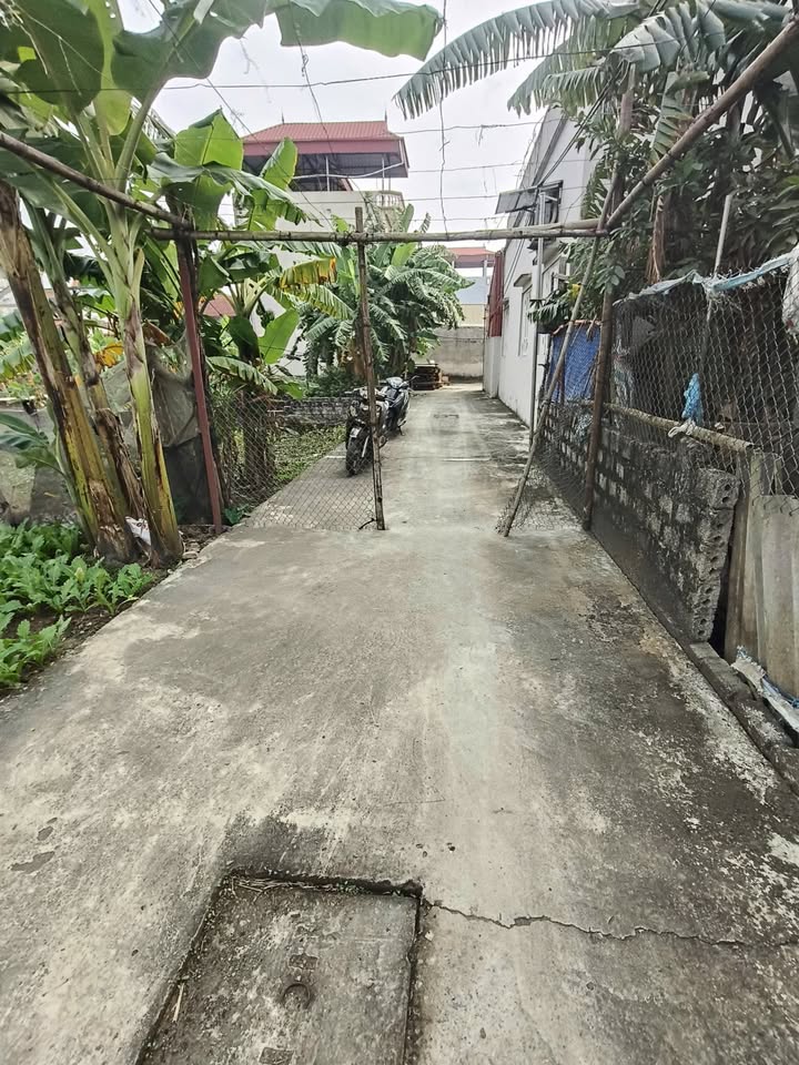 Đất Thư Phú Thường Tín 71.4m² giá 57 triệu - Chính chủ bán gấp!