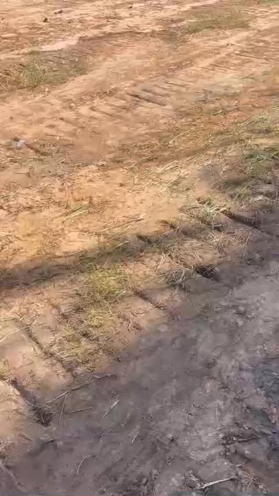 Đất cho thuê làm bãi xe, Logistic tại ĐT 743, Thuận An, Bình Dương - Hơn 6.000m² giá chỉ 1.08 tỷ