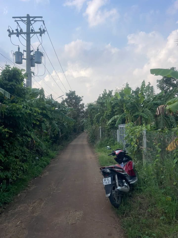 Đất nền Farm 500m² tại phường Xuân Lập, TP Long Khánh - Giá chỉ 1,1 tỷ