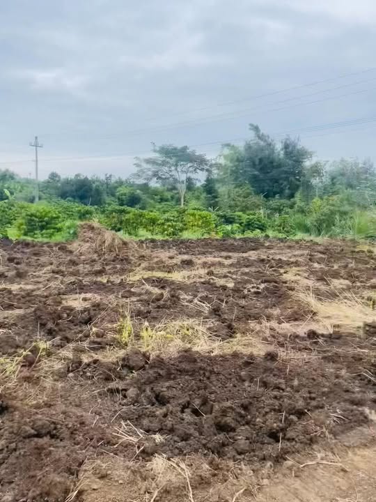 Đất nền Nam Xuân Krông Nô 68m² giá 750 triệu - Đầu tư sinh lời ngay!