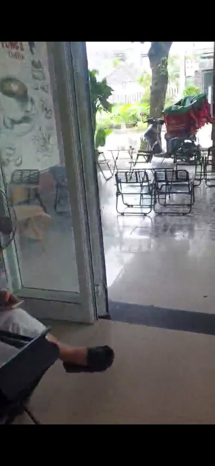 Cho thuê mặt bằng 80m² tại ngã tư Bùi Thiện Ngộ, Cẩm Lệ - Giá chỉ 7 triệu!