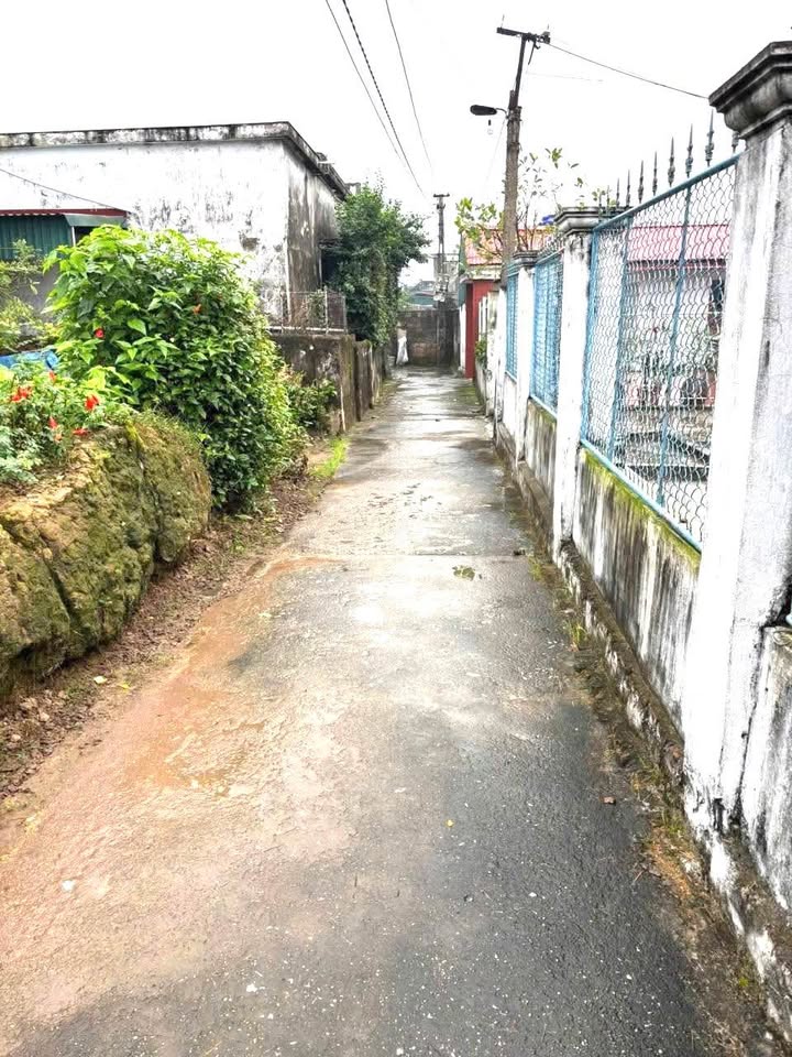 Đất thổ cư Nam Bình, Kiến Xương 100m² chỉ 200 triệu - Cơ hội đầu tư hấp dẫn!