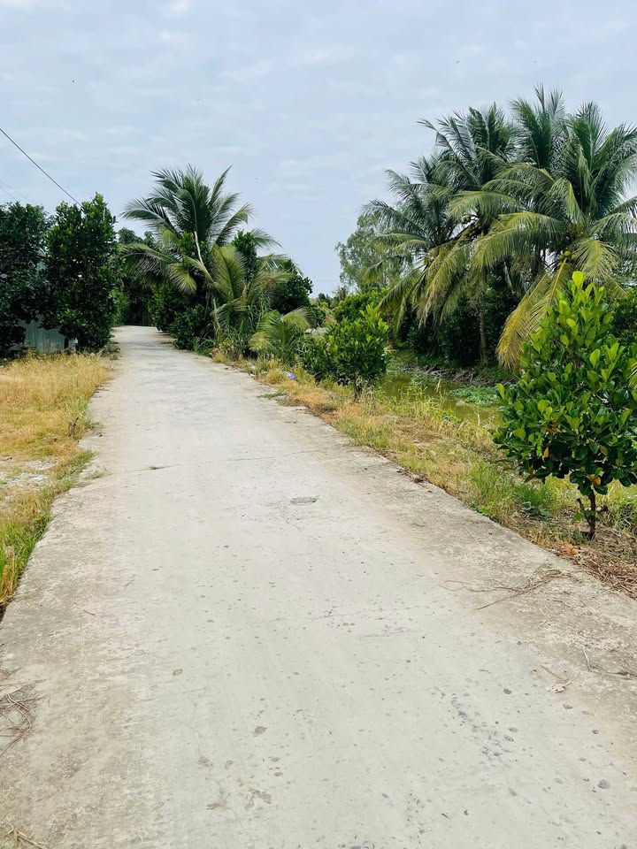 Đất vườn Mít Thái 9766m² tại Tân Phú, Thanh Bình - Giá chỉ 3.418 tỷ!