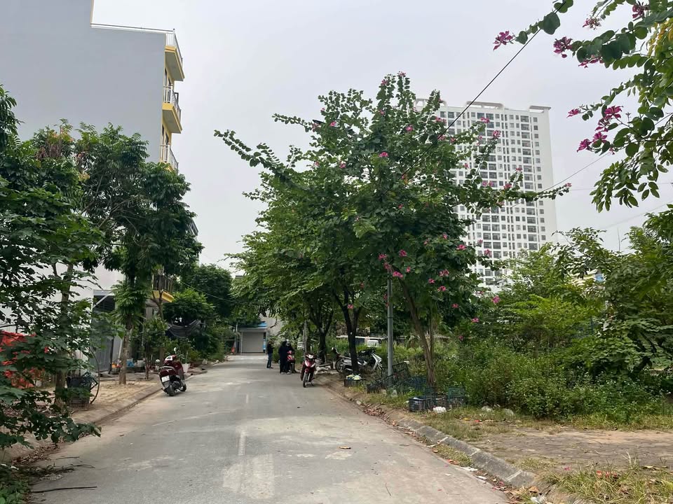 Đất nền Tứ Hiệp, Thanh Trì 33m² giá thỏa thuận - Đầu tư sinh lời ngay!