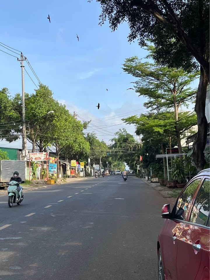 Đất mặt tiền Mai Xuân Thưởng 80m² giá 4.75 tỷ - Đầu tư kinh doanh sinh lời!