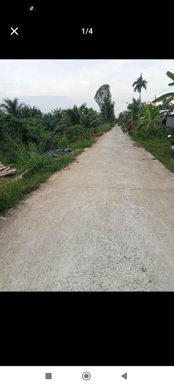 Đất vườn dừa 5000m² tại Tân Mỹ, Ba Tri - Cơ hội đầu tư sinh lời!