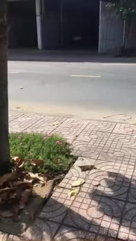 Nhà mặt tiền đường Cao Đăng Chiếm, Cai Lậy 100m² giá 3.2 tỷ - Cần bán gấp!