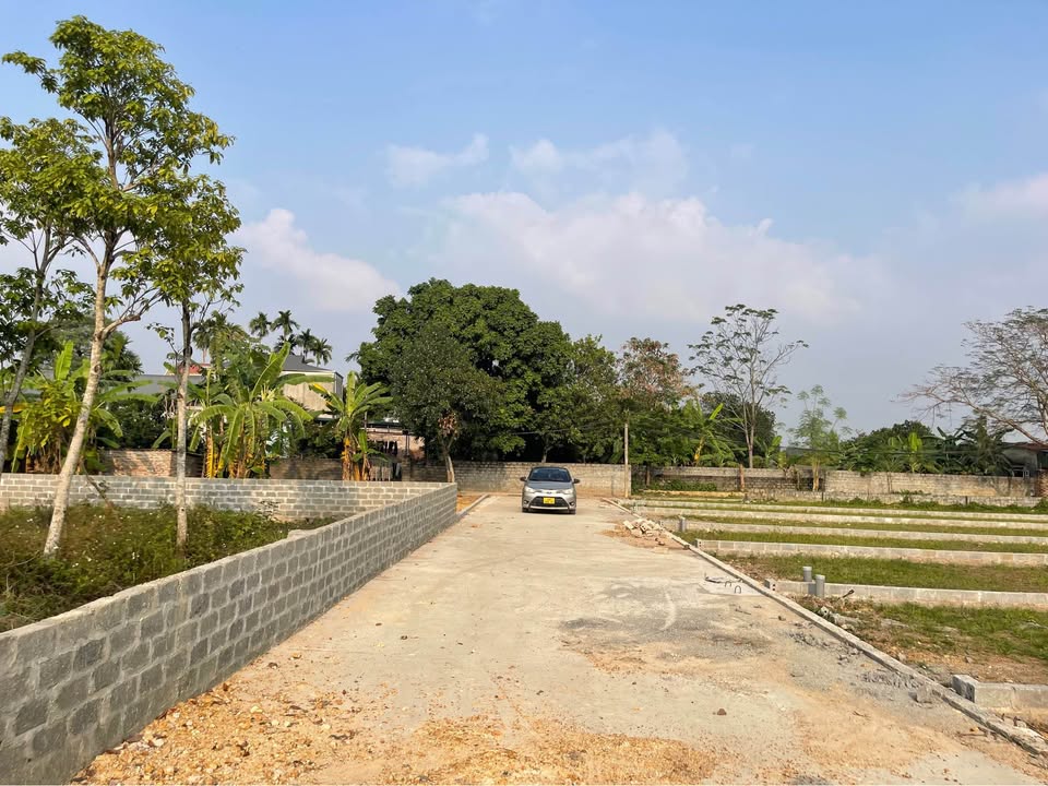 Đất nền Nhuận Trạch, Lương Sơn 140m² giá chỉ 1x triệu - Cơ hội đầu tư tuyệt vời!