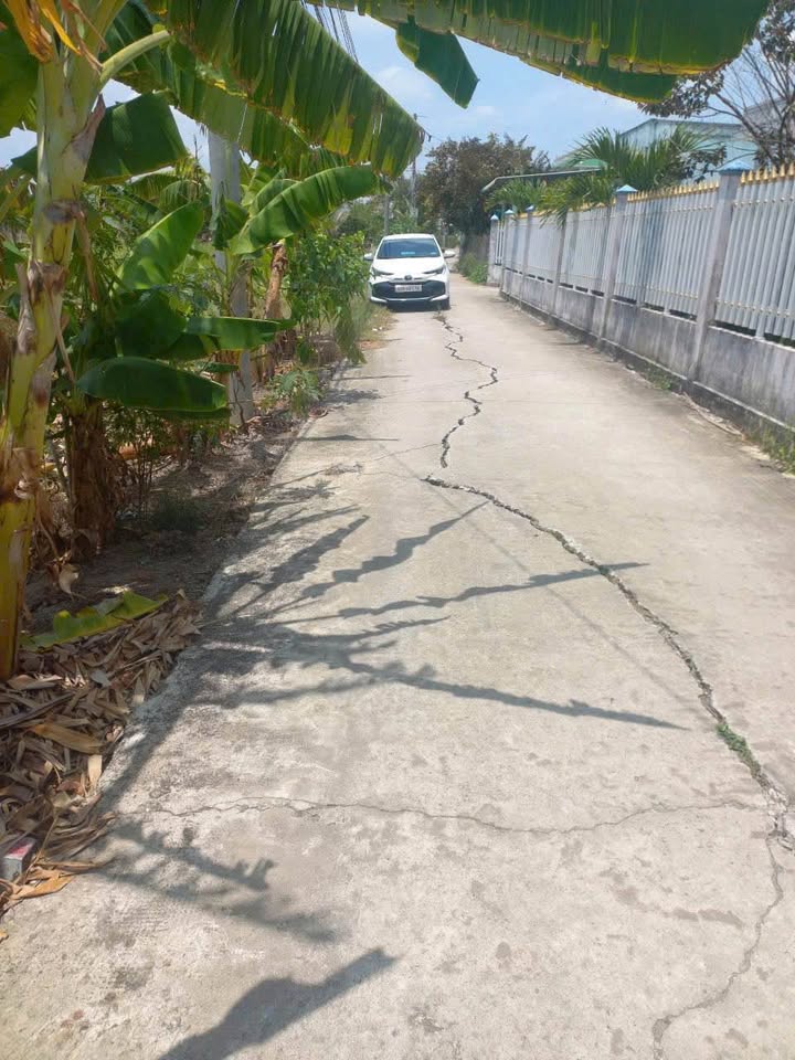 Đất nền thổ cư 135m² xã Thanh Phú Long, Châu Thành - Giá chỉ 429 triệu