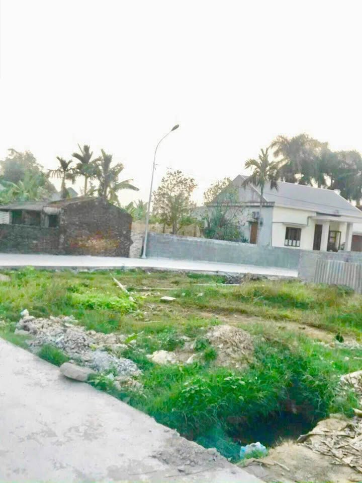 Đất lô góc Phương Hạ, An Lão 65m² giá 500 triệu - Đầu tư sinh lời ngay!