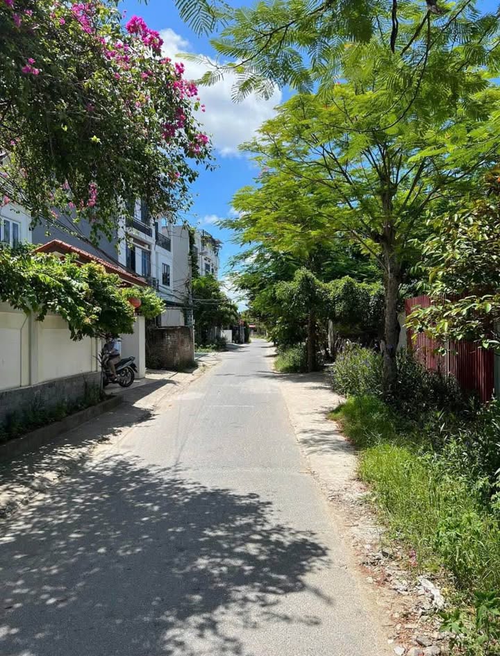 Lô đất mặt đường Trương Đồng Tử, Phù Liễn, 117m² giá 2 tỷ - Sổ đỏ chính chủ!