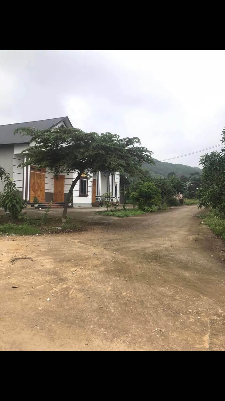 Bán đất thổ cư tại xã Nhữ Khê, Tuyên Quang 250m² - Giá chỉ 700 triệu