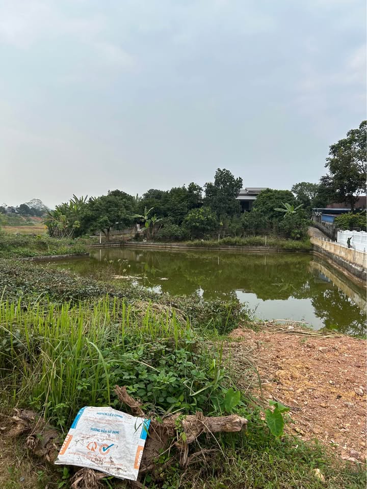 Nhà vườn Phúc Trìu 5000m² giá 5 tỷ - Không gian sống lý tưởng cho gia đình!