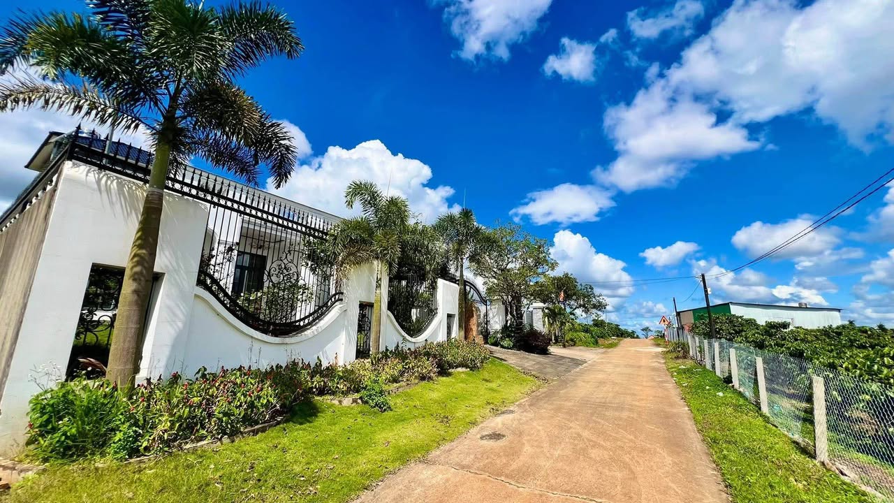 Đất nền Bảo Lộc 689m² giá 3 tỷ - View tuyệt đẹp, xây nhà lý tưởng!